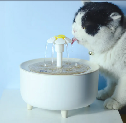 Pet Water Dispenser