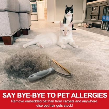 Ultimate Pet Hair Cleaning Tool