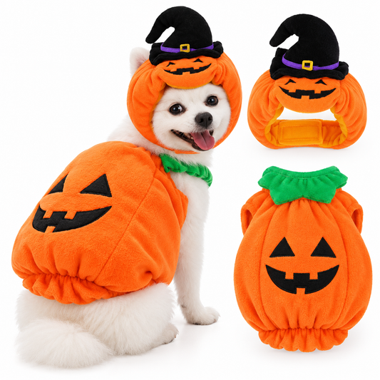 Pumpkin Halloween Costume for Dogs & Cats